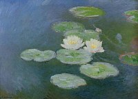 Water-Lilies, 
Evening Effect  
1897-98 
oil on canvas
Musee Marmottan, 
Paris, France 